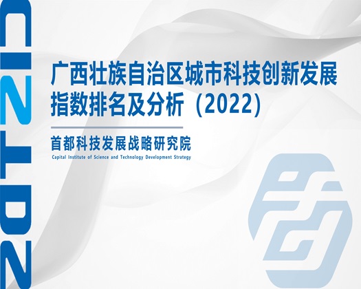 嗯嗯好嗯嗯好好啊在线看【成果发布】广西壮族自治区城市科技创新发展指数排名及分析（2022）